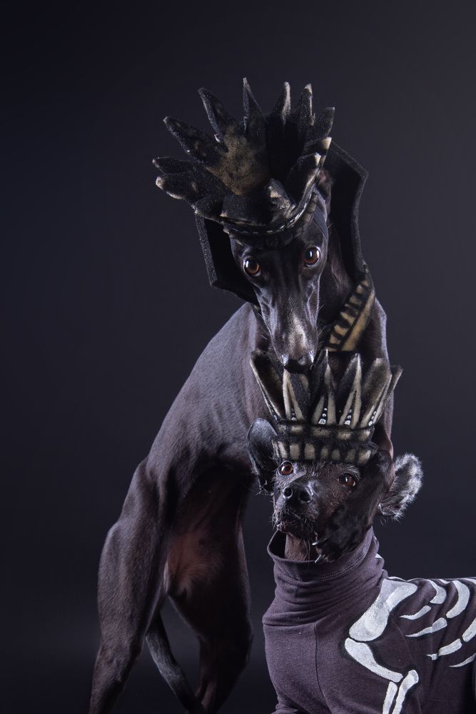 Photograph by наталья залогина