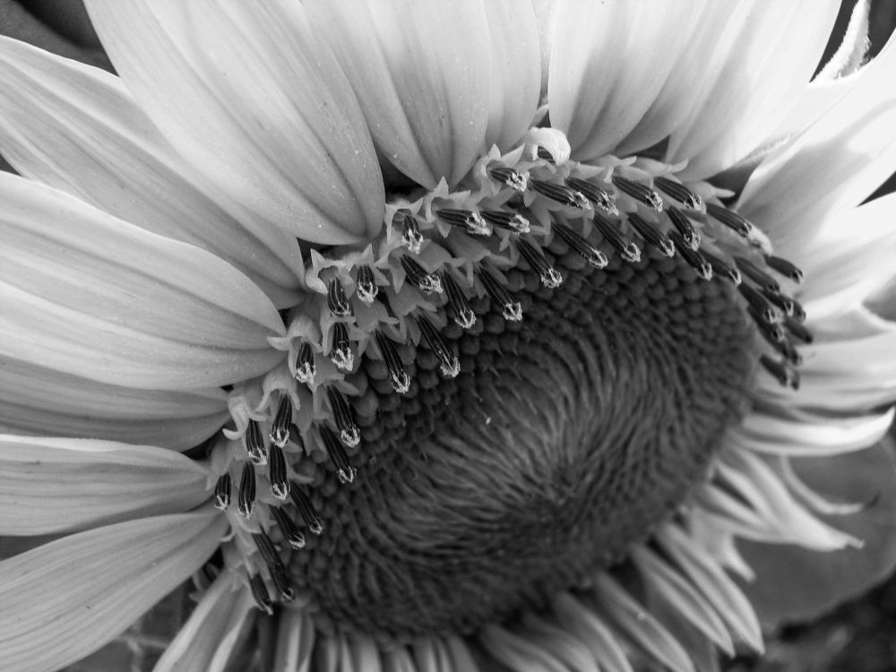 Photograph by Мария Толмачева