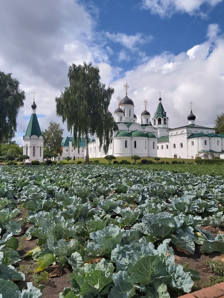 Photograph by Олег Лебедев