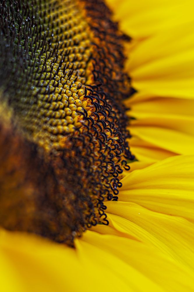 Photograph by Александра