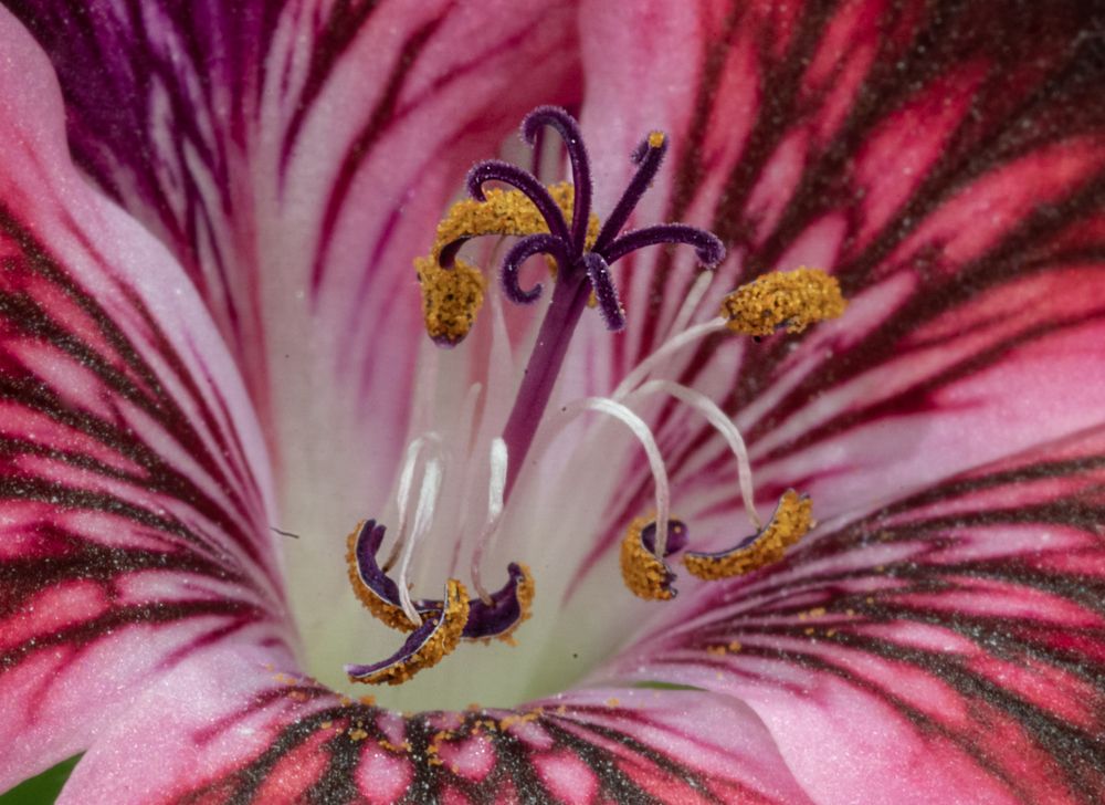 Photograph by Савчук Сергей