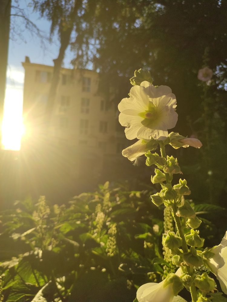 Photograph by Кристина Сметанина