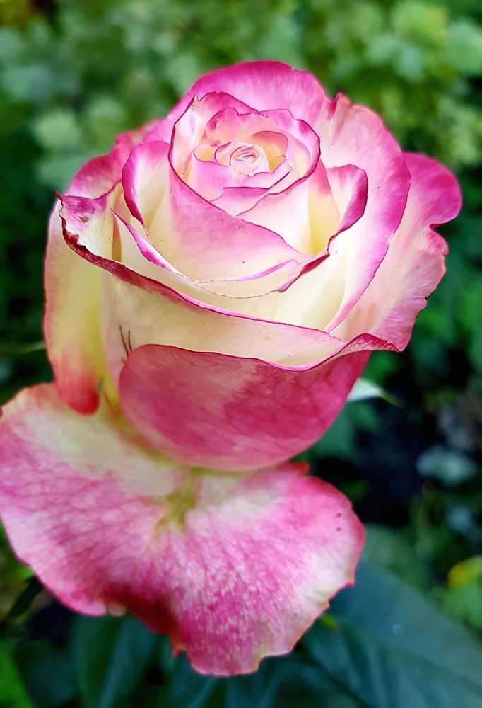 Photograph by Максим Иванов