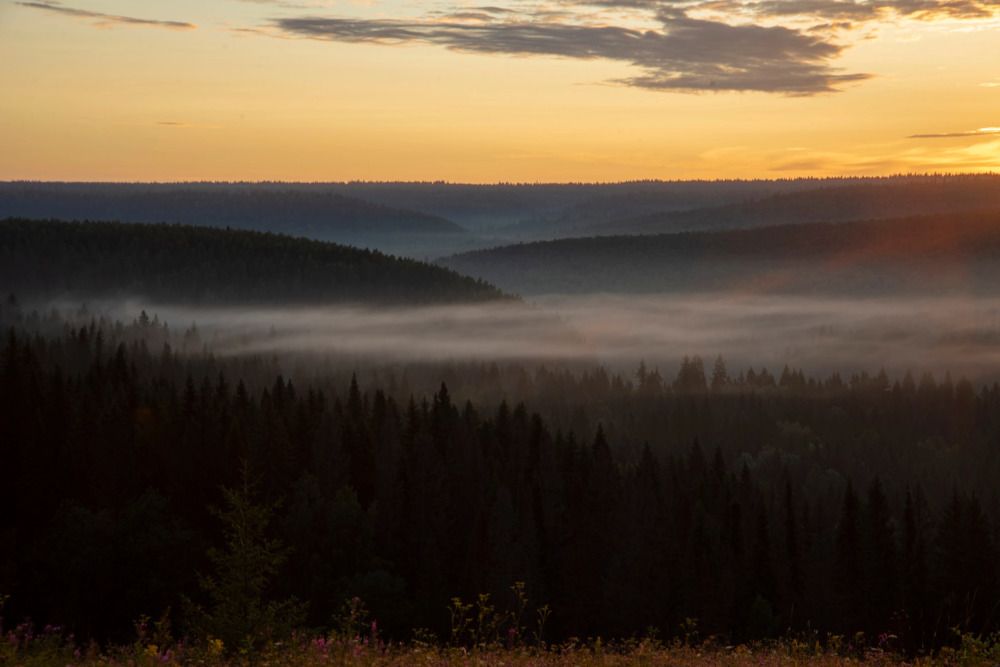 Фотография автора Злобин Сергей