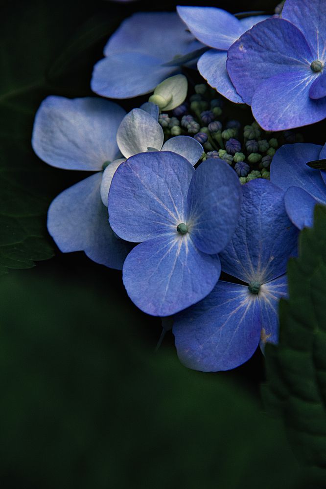 Photograph by Александра