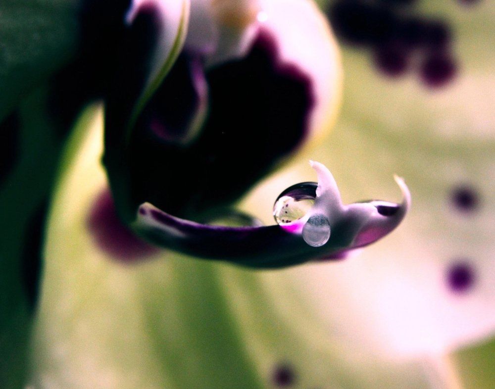 Photograph by Галина