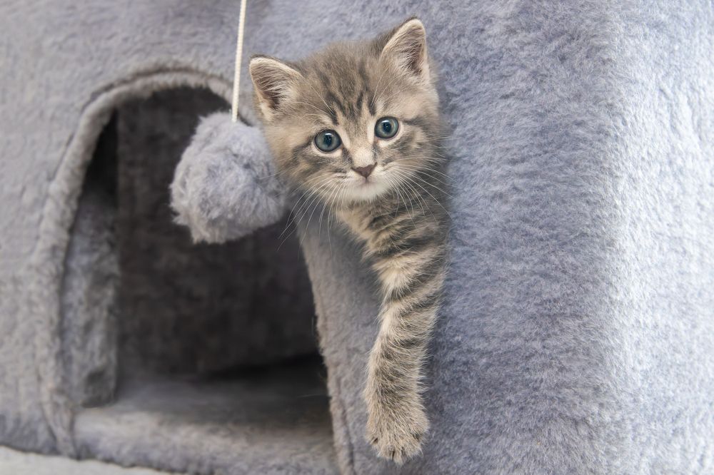 Photograph by Кадырова Марина