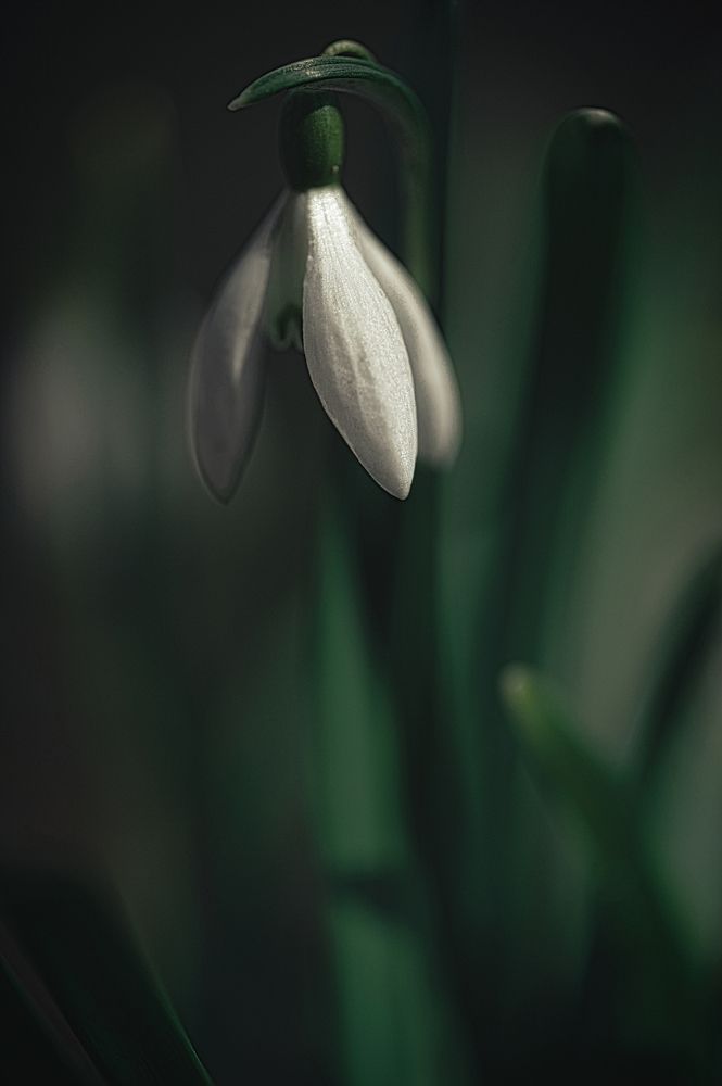 Photograph by Дмитрий Кудрявцев