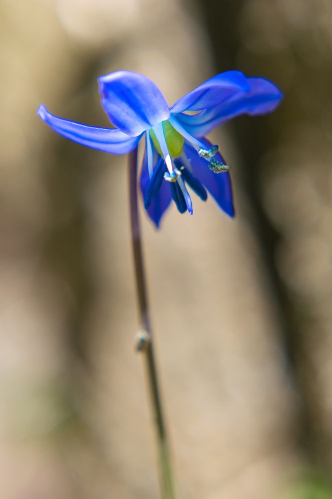 Photograph by Дмитрий Кудрявцев