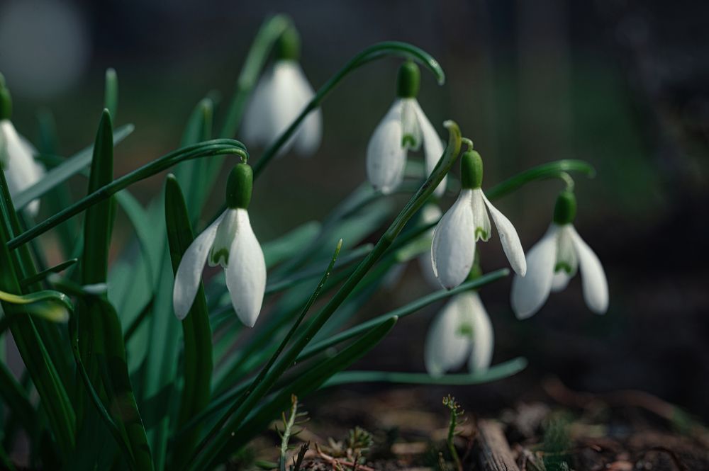 Photograph by Дмитрий Кудрявцев