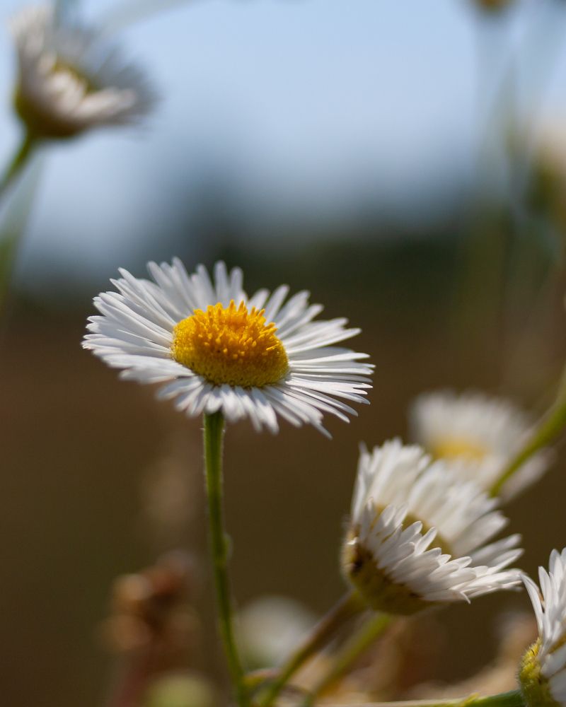 Photograph by Михаил Андронов