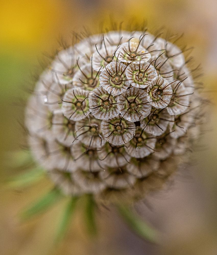 Photograph by Савчук Сергей