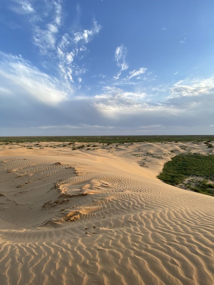 Photograph by Елизавета Корнилова