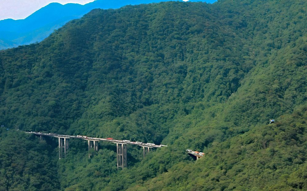 Фотография автора Márcia Cristina Machado