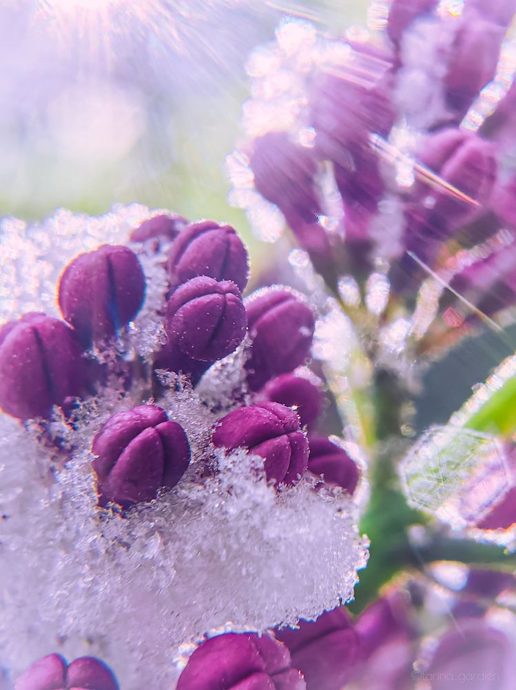 Photograph by Елена Макеева