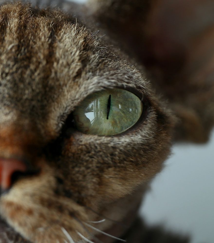 а в глазах зима...