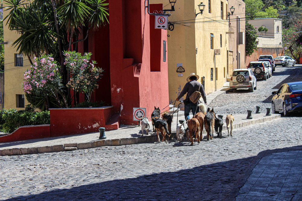 Photograph by JORGE DORANTES