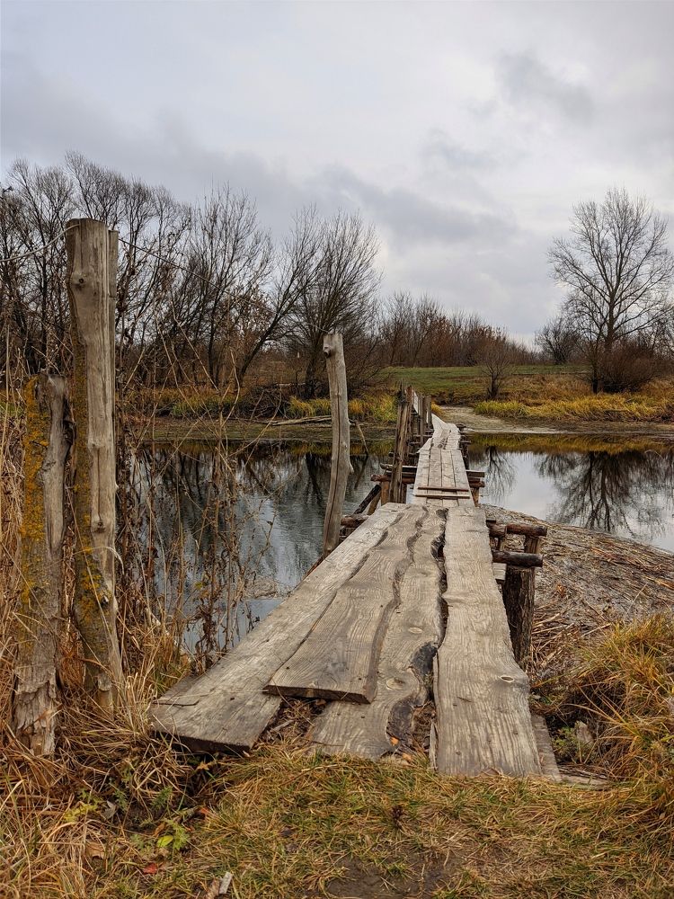 Photograph by Мария Широких