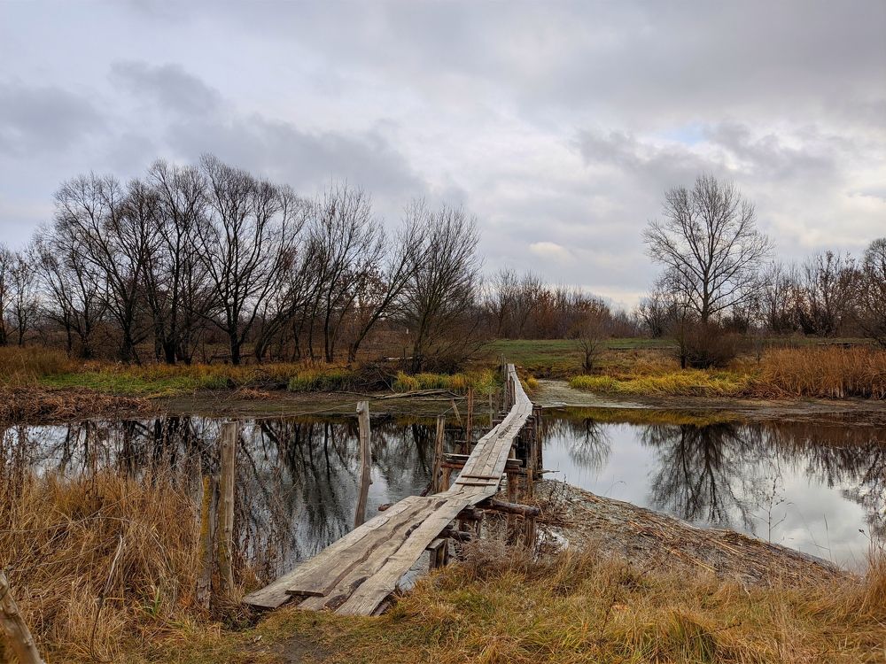 Photograph by Мария Широких