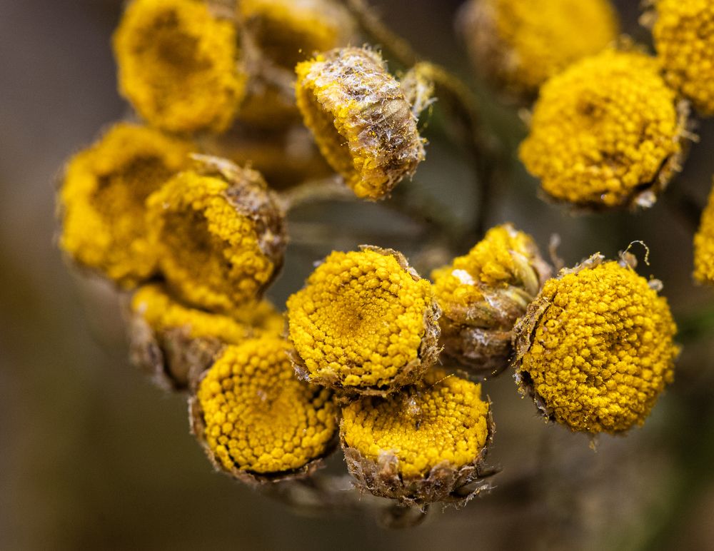 Photograph by Савчук Сергей