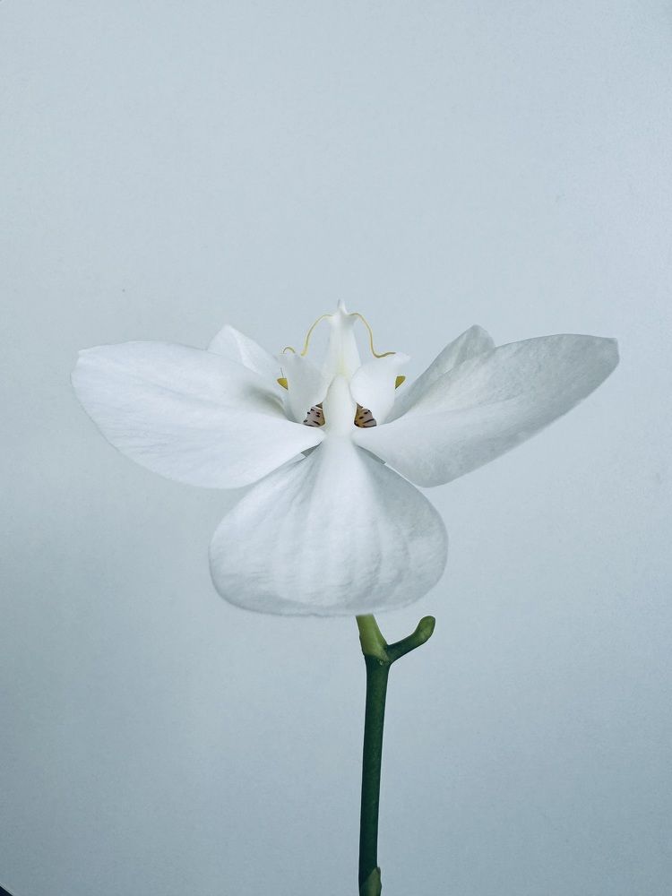 Photograph by Анна Березина