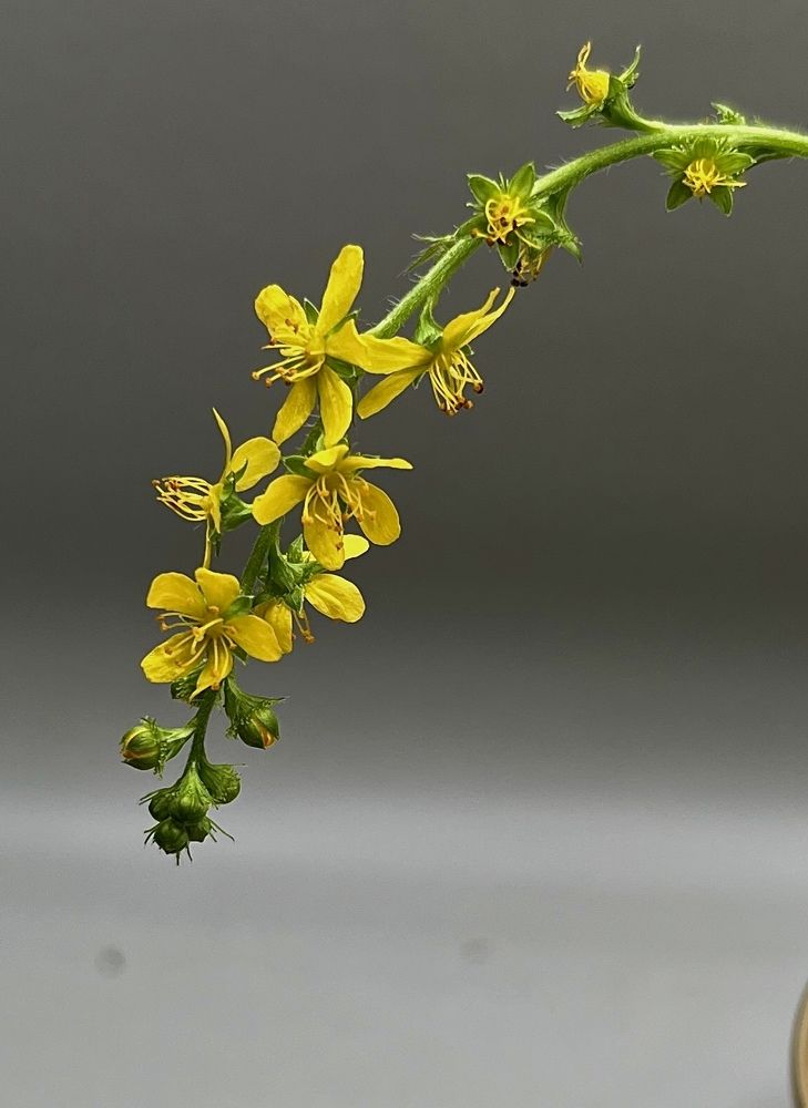 Photograph by Екатерина Усольцева