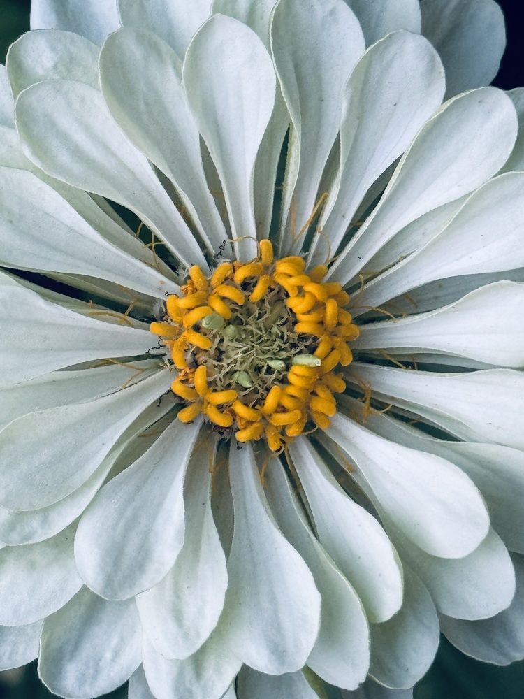 Photograph by Анна Березина