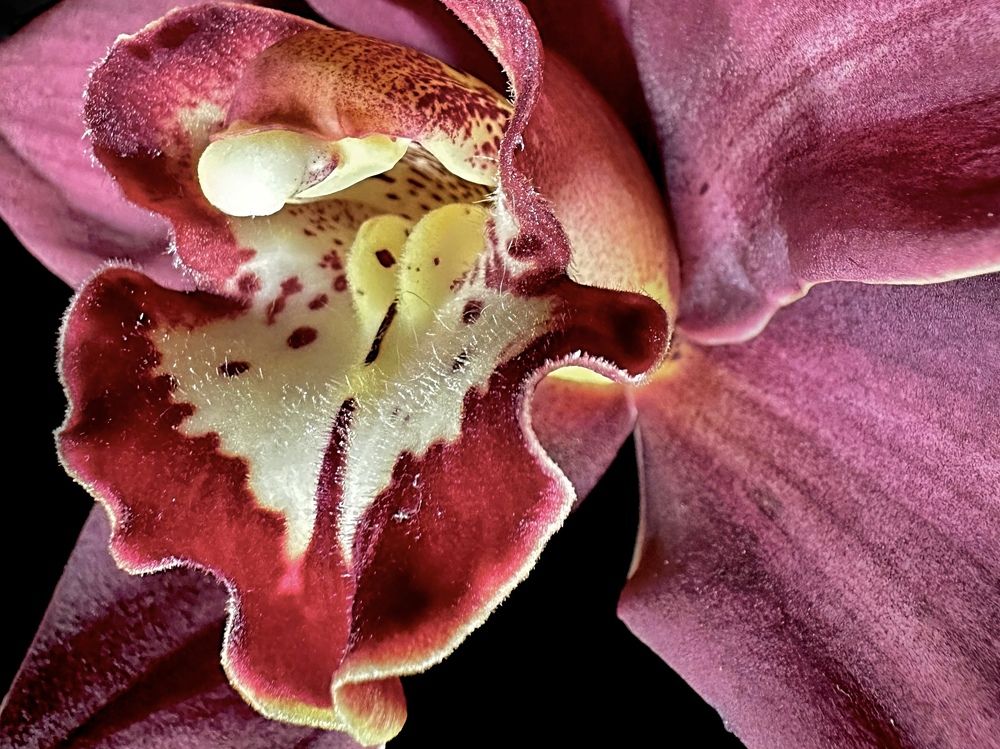 Photograph by Svetlana Rashidova