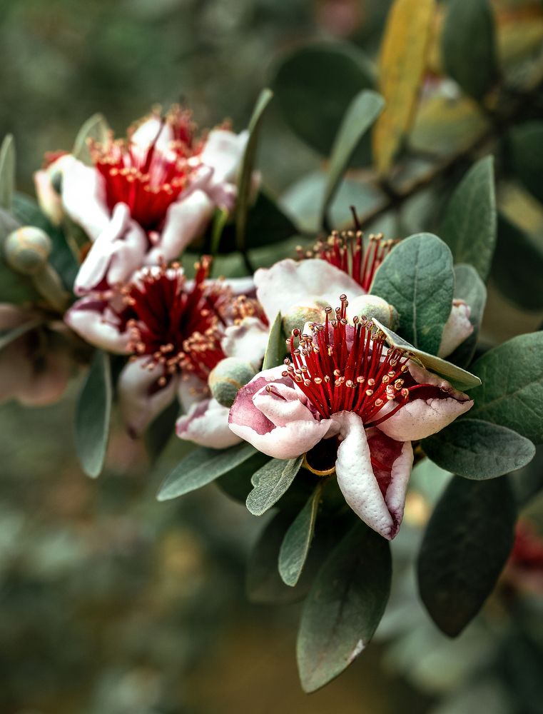 Фотография автора Straand2614