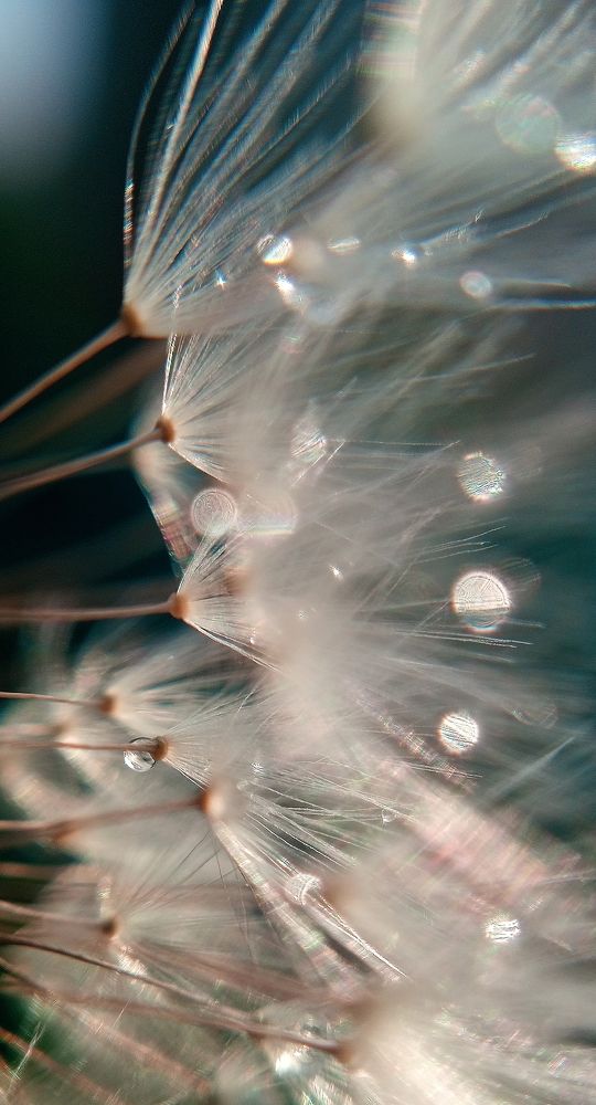 Photograph by Наталья Шумилова