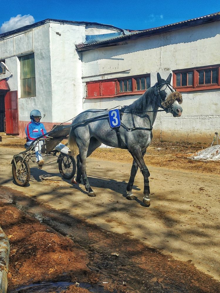 Photograph by Ирина Горбач