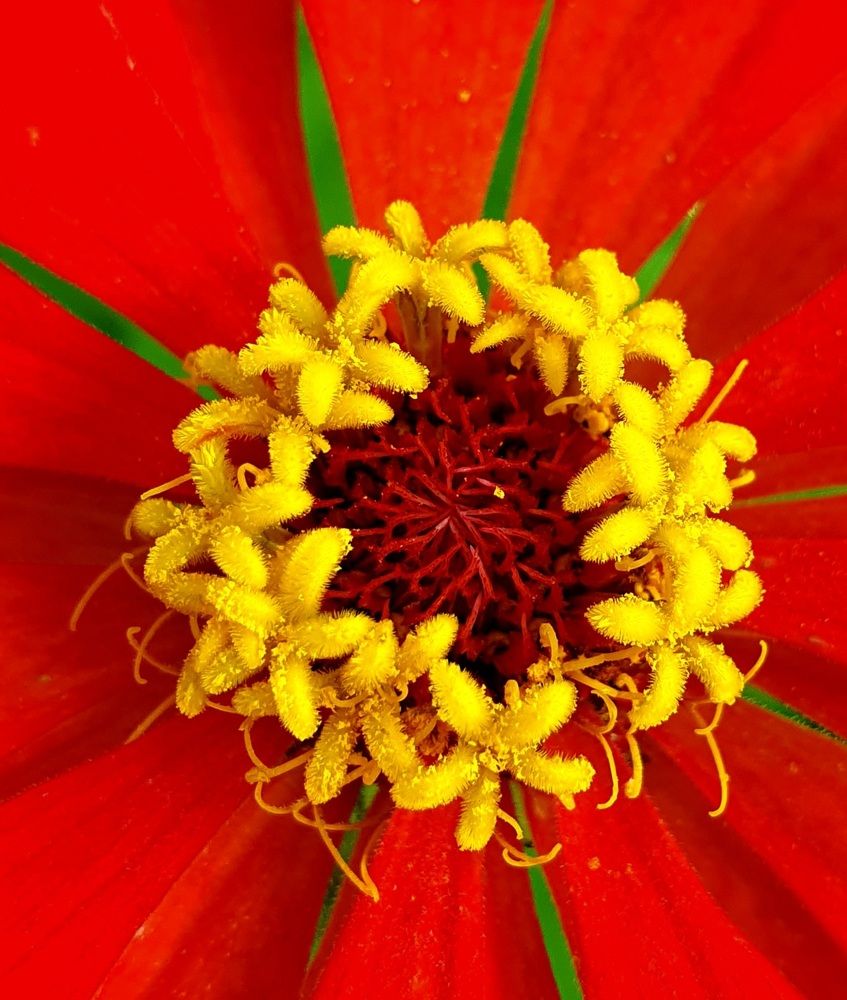 Photograph by Яна Галимуллина