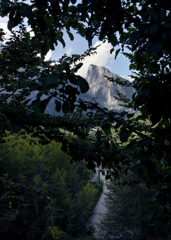 Photograph by Ali Alqassab