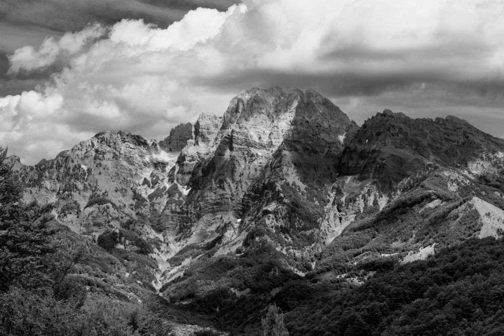 Photograph by Ali Alqassab