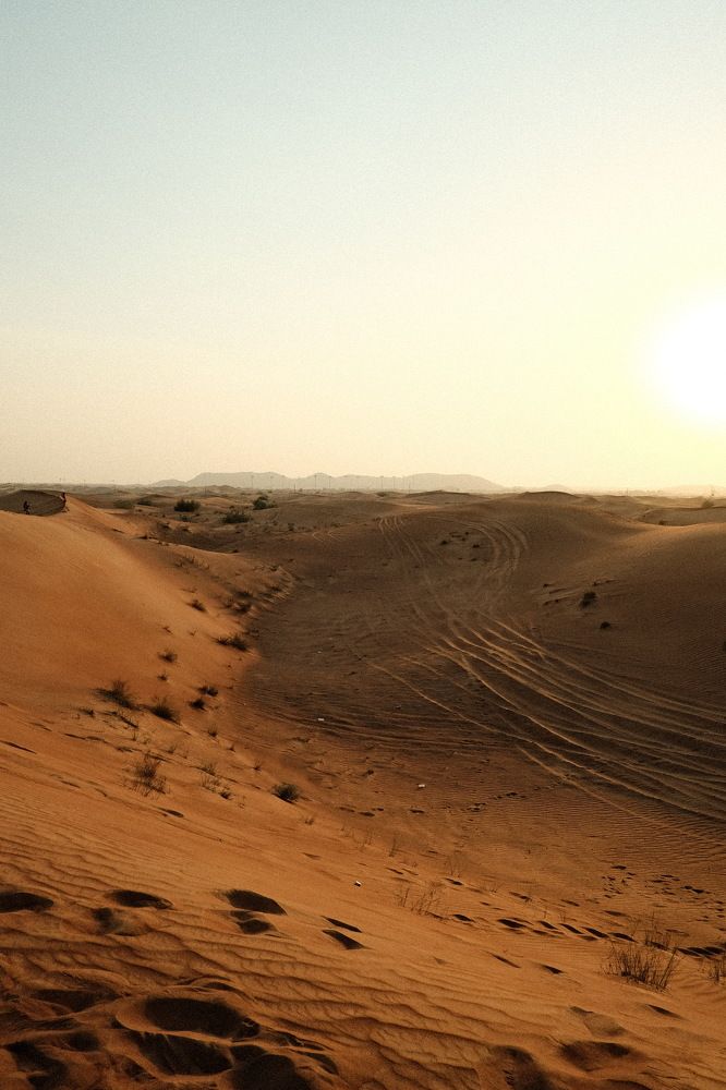 Photograph by Maxim Lip