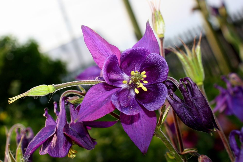 Photograph by Ольга Павлова