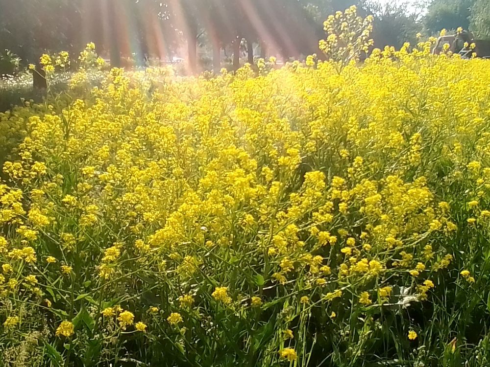 Photograph by Irina Mihailovskaya