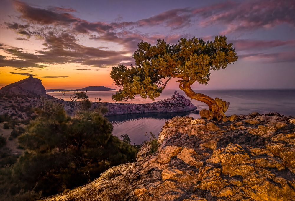 Photograph by Александр Разумов