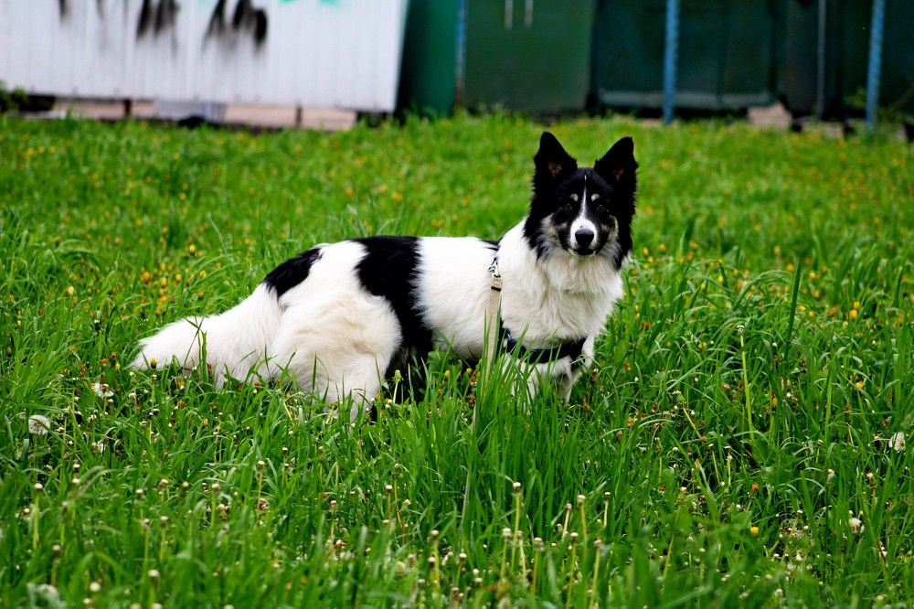 Photograph by Дмитрий Симагин