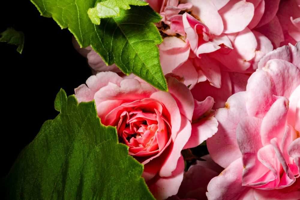 Photograph by Князев Сергей