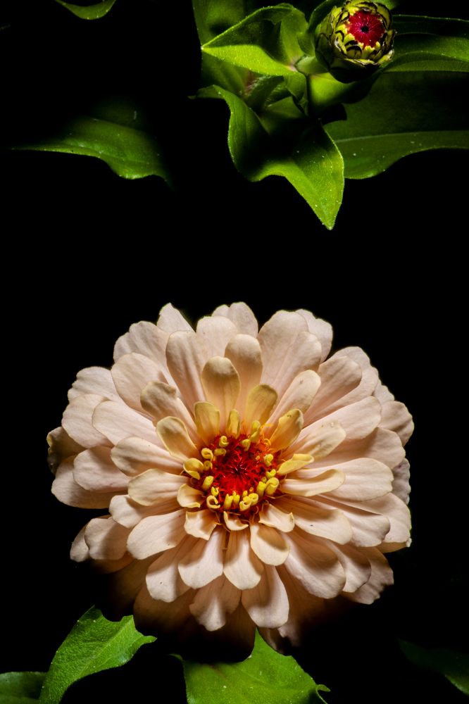 Photograph by Князев Сергей