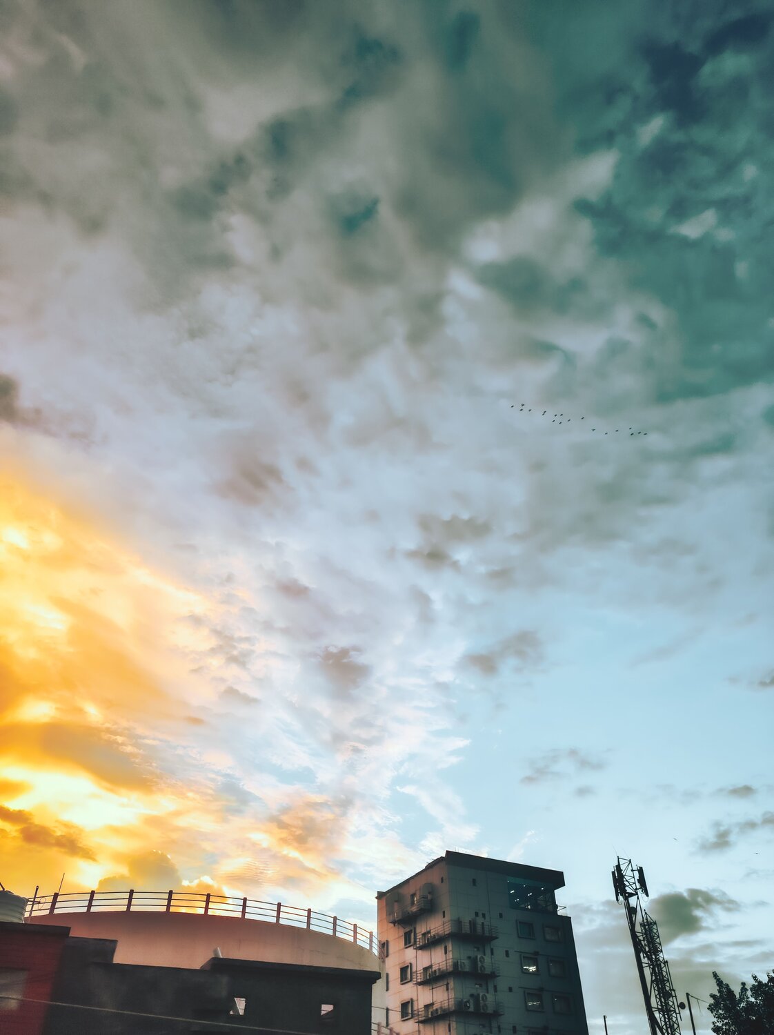 Photo #10893071