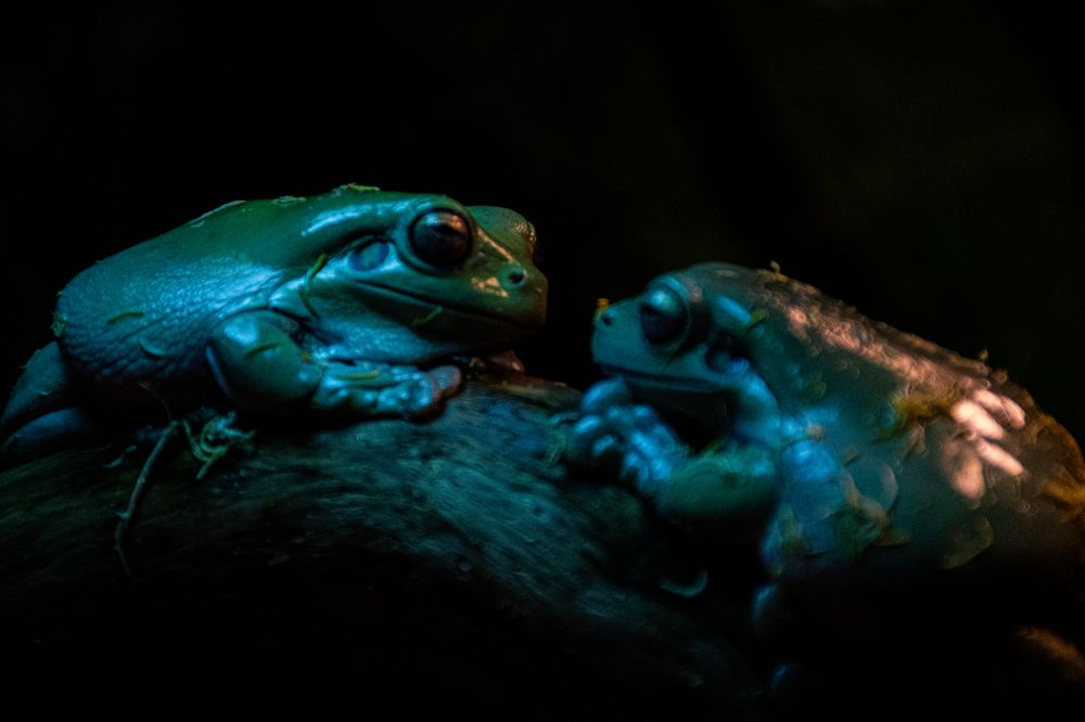 Photograph by Павел