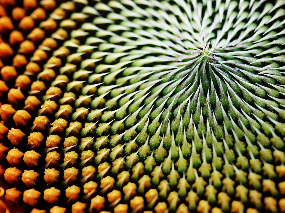 Photograph by Annie Trudel