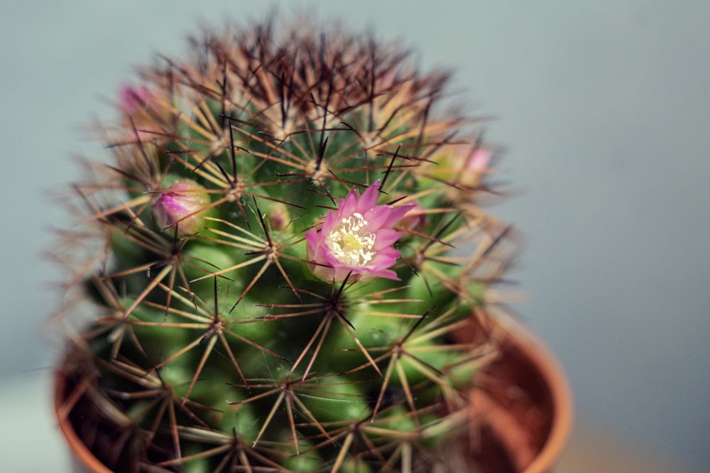 Photograph by Антон Гаврилов