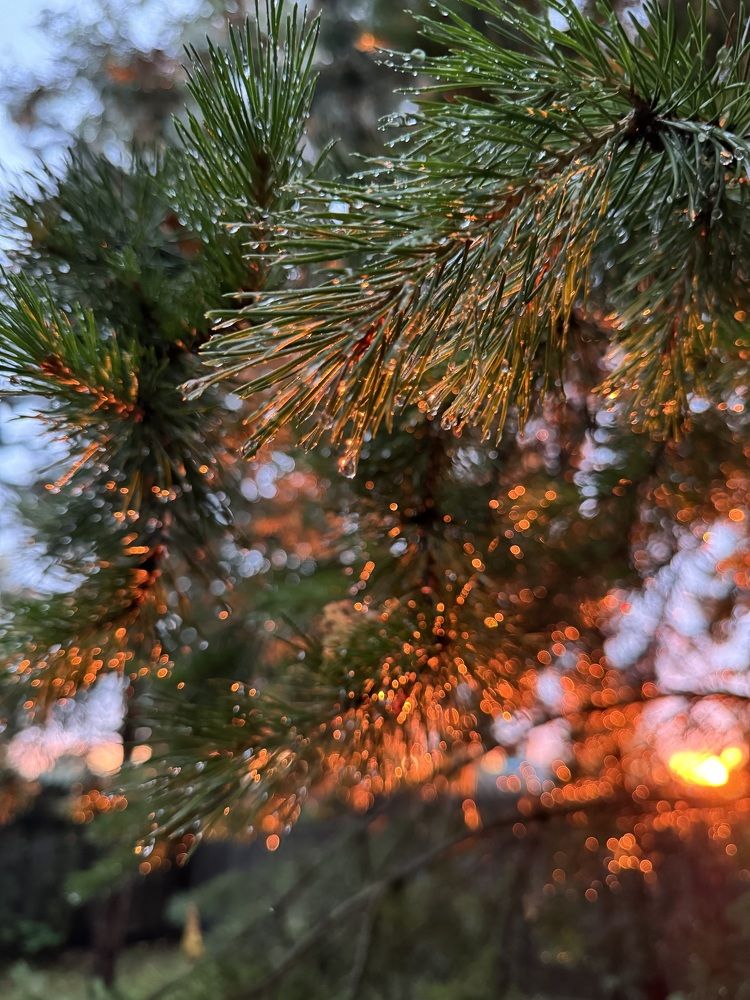 Photograph by Римма Большакова