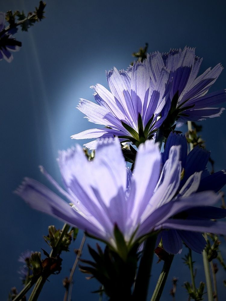 Photograph by Римма Большакова