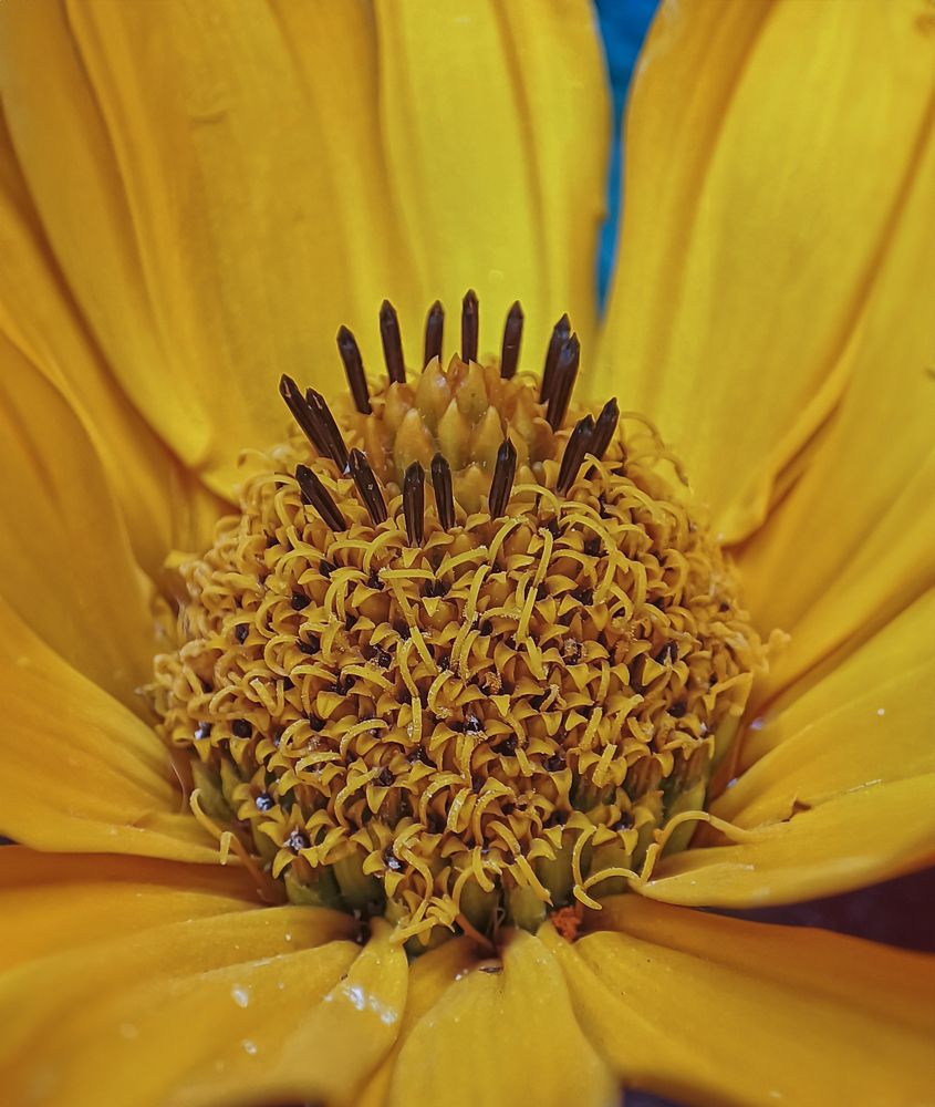 Фотография автора Карина Сагитова