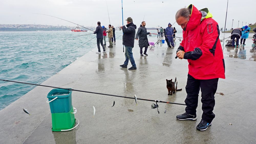 Photograph by Оксана Трофименко