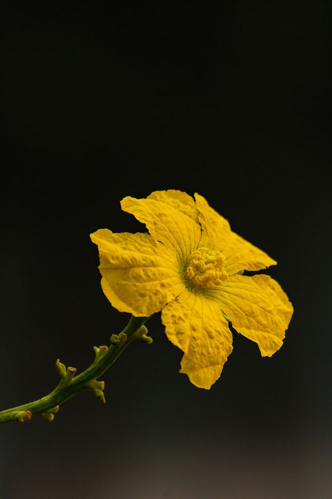 Photograph by Ayush Tripathi